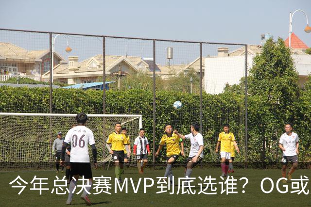 今年总决赛MVP到底选谁？OG或复制小卡逆袭剧本